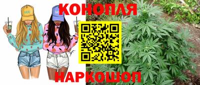 бошки Заводоуковск