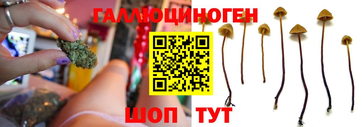 Галлюциногенные грибы GOLDEN TEACHER Елабуга