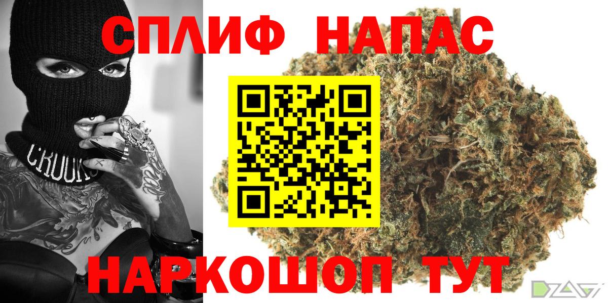 МАРИХУАНА семена Елабуга